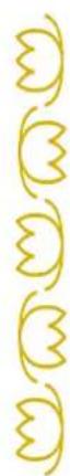 BABY LOCK Solaris 2 - Combinaison de Motifs de Points en Image Miroir Horizontale - 1