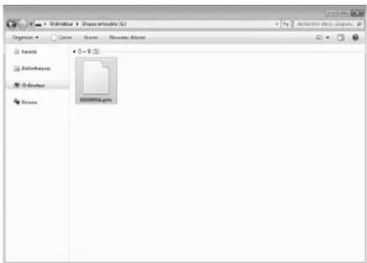 BABY LOCK Aerial - Sélectionnez le fichier .pmv du motif de point et copiez-le sur l'ordinateur. - 1