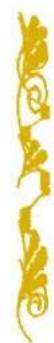 BABY LOCK Aerial - Combinaison de Différents Motifs de Points - 1