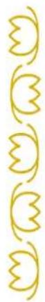 BABY LOCK Aerial - Combinaison de Motifs de Points en Image Miroir Horizontale - 1