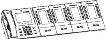GRANDSTREAM GXV3350 - CONNECTION DEL MODULO DI ESTENSIONE PER GXV3350 (GBX20* Venduto separatamente): - 2
