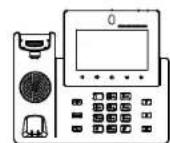 GRANDSTREAM GXV3350 - PACKUNGSHHALT: - 1