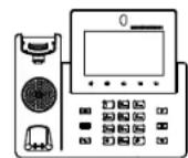 GRANDSTREAM GXV3350 - PACKAGE CONTENTS: - 1
