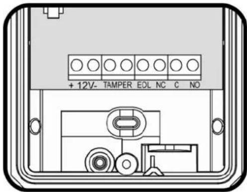 + 12V- TAMPER EOL NC C NO