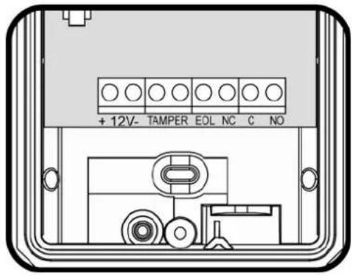 + 12V- TAMPER EOL NC C NO