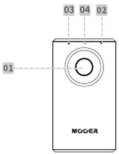Mooer Prime P1 - Disposition - 1