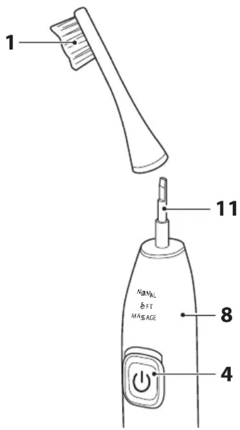 QUIGG GTTBs03 - Risques de blessures ! - 1