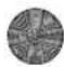 GlobalTronics GTPLCled01 - Sommerlichterkette Garantie - 12