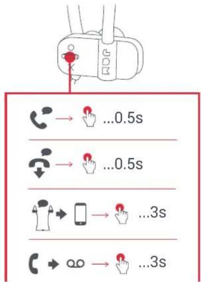 JAM Live Fast HXEP404 - D-Bbl30Bbl - 2