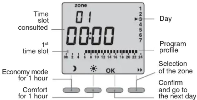 DIMPLEX RXPW4N - Programming - 1