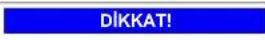 BALAY 3TS993XT - Kapi contasinin degistirilmesi - 6