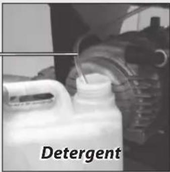Detergent