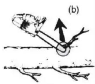PARKSIDE PGHSA 12 A1 - Causes de rebonds et prévention par l'opérateur - 3