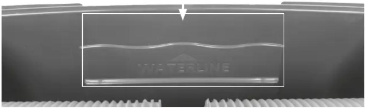 WATERLINE