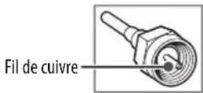 LG OLED55G2PUA - Antenne/cable - 1