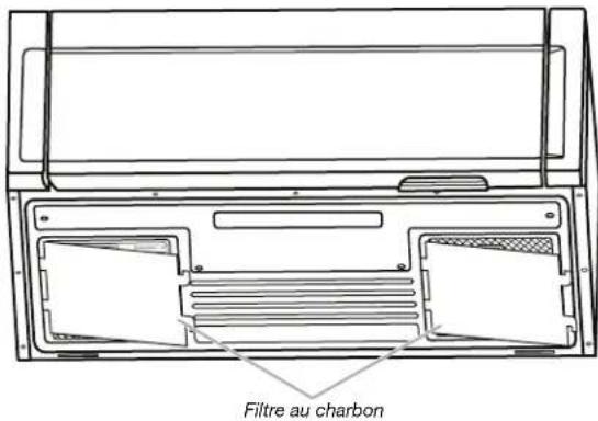 WHIRLPOOL YWML55011HB - Installation/remplacement des filtres et des ampoules - 3