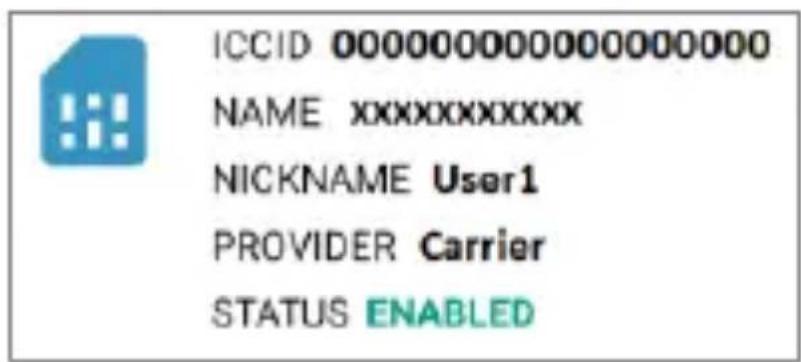 Hammer Explorer PRO - Démarrage et activation de la carte eSIM - 1