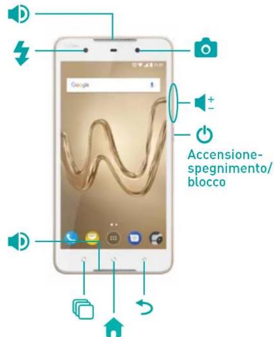 WIKO Robby 2 - Component del disposativo - 2