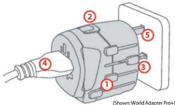 (Shown: World Adapter Pro+)