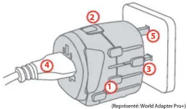 (Représenté: World Adapter Pro+)