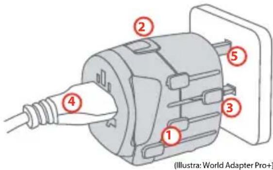 (Illustra: World Adapter Pro+)