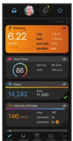 GARMIN Instinct 2 Solar - Garmin Connect - 1
