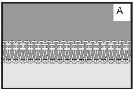 BABY LOCK Triumph - SURFILAGE 4 FILS - 2