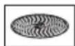 BOSCH MC812M814 - Riveskive – middels fin - 1