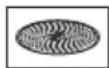 BOSCH MC812M814 - Grating disc – medium-fine - 1