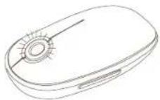TARGUS AMW43EU - Wireless Mouse - 1