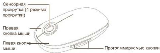 TARGUS AMW43EU - Порядок работы мыши - 1