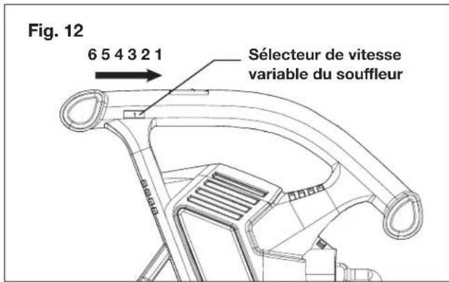 Sun Joe SBJ603E - Sélecteur de vitesse - 1