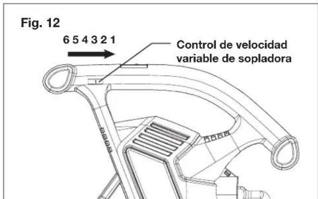 Sun Joe SBJ603E - Control de velocidad - 1