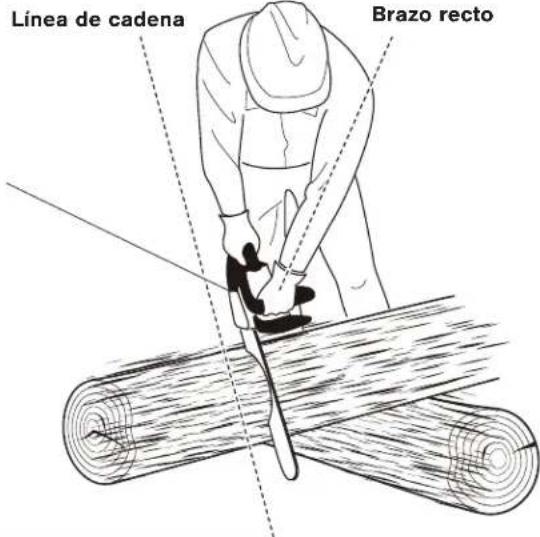 Sun Joe 24V10CS - Postura apropiada para el corte - 1