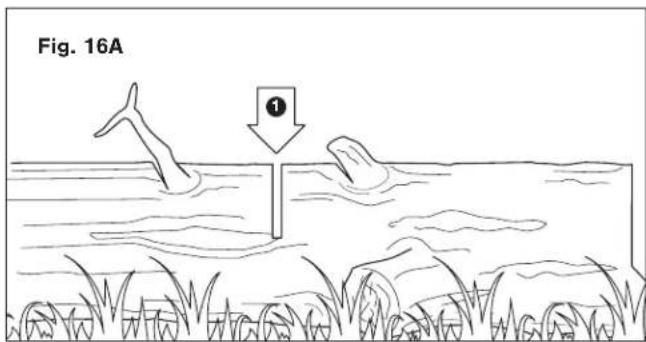 Fig. 16A