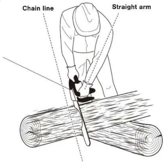 Sun Joe 24V10CS - Proper Cutting Stance - 1