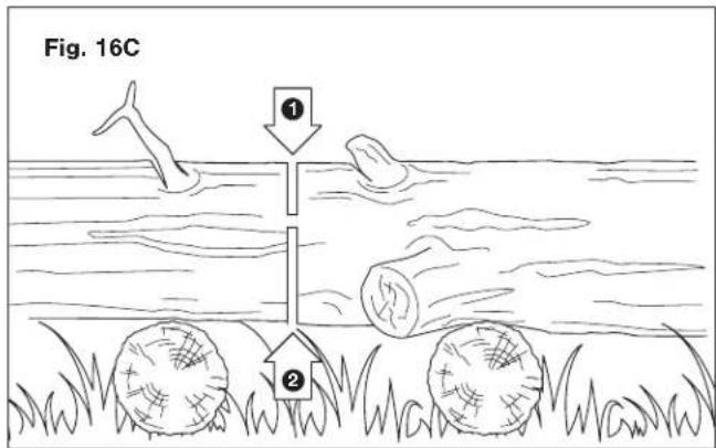 Fig. 16C ① ②