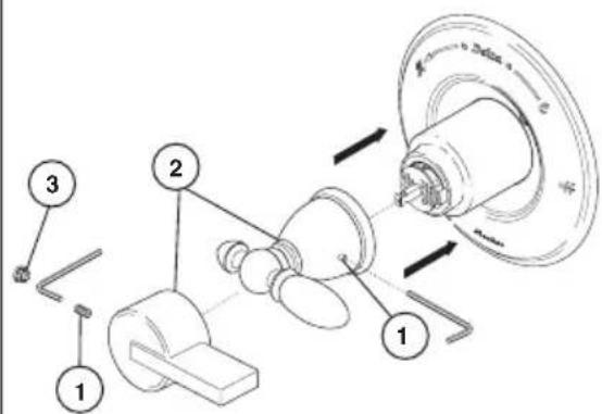 DELTA T14251WE - Trim Installation - 3