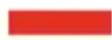 PRIMO DV2WS - WEBSHOP - 1