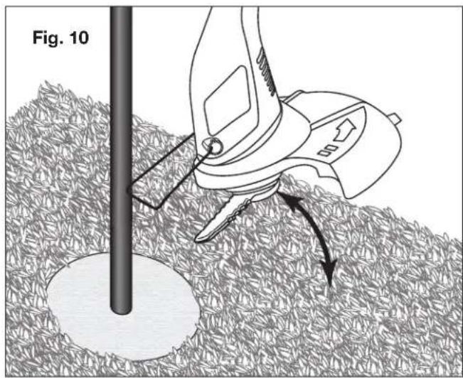 Fig. 10
