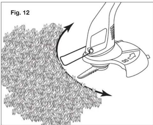 Fig. 12