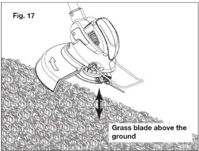 Fig. 17 Grass blade above the ground