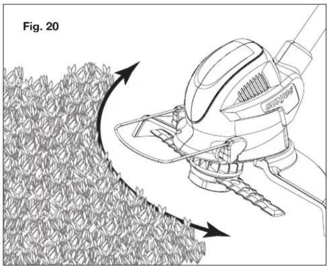 Fig. 20