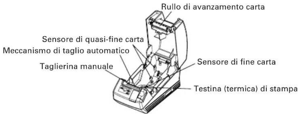 Rullo di avanzamento carta Sensore di quasi-fine carta Meccanismo di taglio automatico Taglierina manuale Sensore di fine carta Testina (termica) di stampa