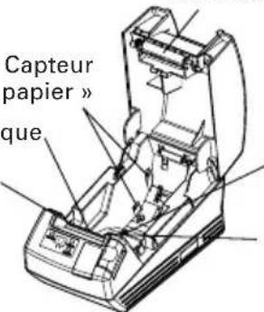 CITIZEN CTS281L - Intérieur du capot de l'imprimante - 1