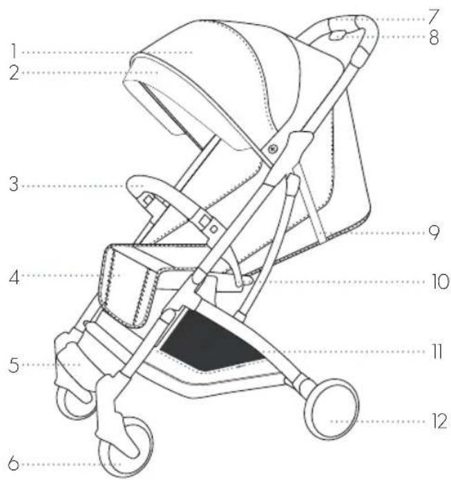 Koelstra Gen - Introducing KOELSTRA GEN - 1