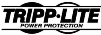Tripp Lite DMBB110V - HC350S, HC350S1 Series Power Module Application Guidelines - 1