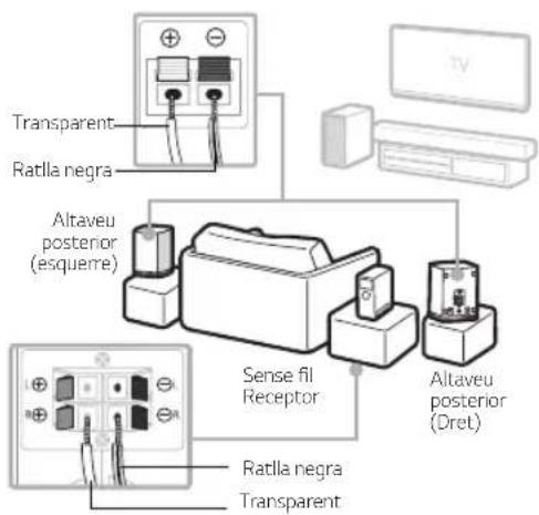 Transparent Rattila negra Altaveu posterior (esquerre) Sense fil Receptor Altaveu posterior (Dret) Rattila negra Transparent