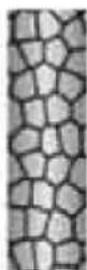 QUIGG GTHDt02 - EFFETIONISANT - 3