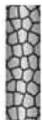 GlobalTronics GTHDt02 - HET IONENEFFECT - 3